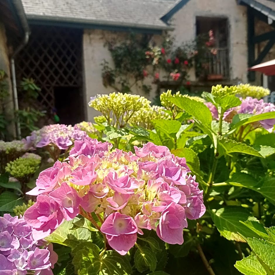 Le clos de CINACLE