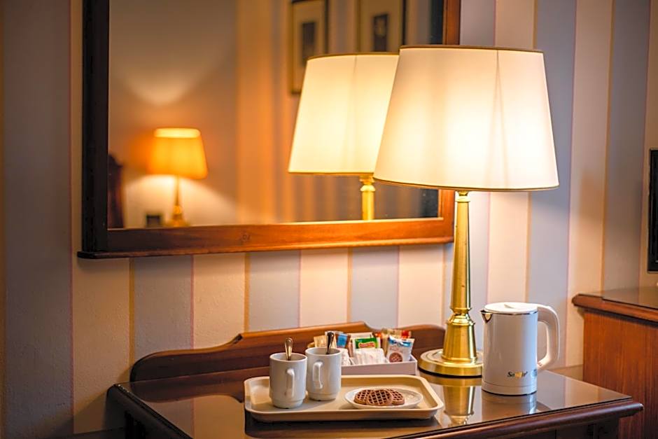 Park Hotel Regina - with air-condition and pool