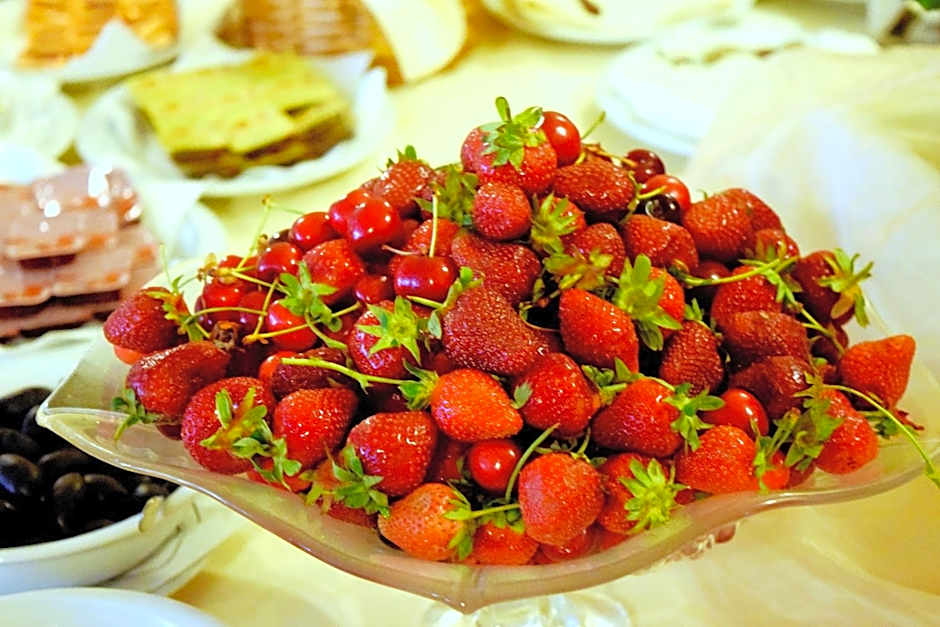 Hotel Premier - Veliko Tarnovo City Center, Panorama View