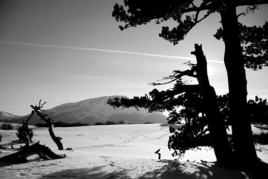 Tana Libera Tutti 1 Nature, Yourself, Love