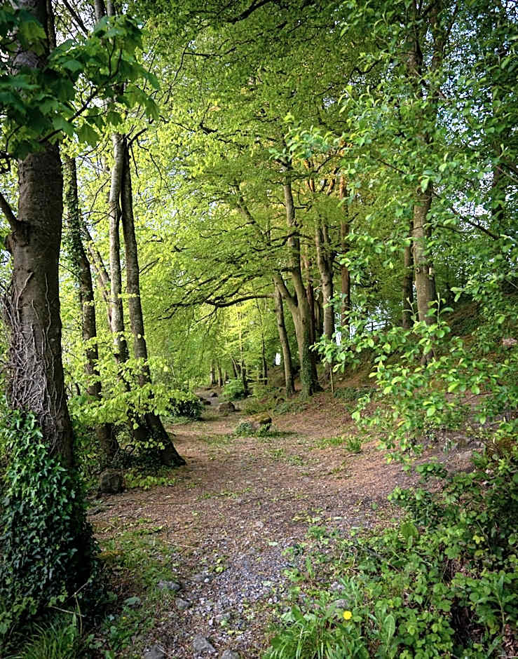 Castle Oaks House Hotel