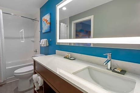 1 King Bed Accessible Room Non-Smoking