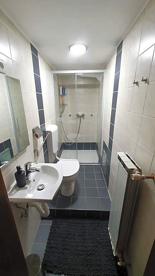 Rooms and apartments Biš