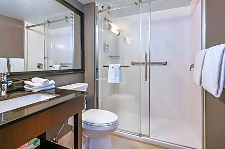 Deluxe King Room with Sofa Bed - Ground Floor