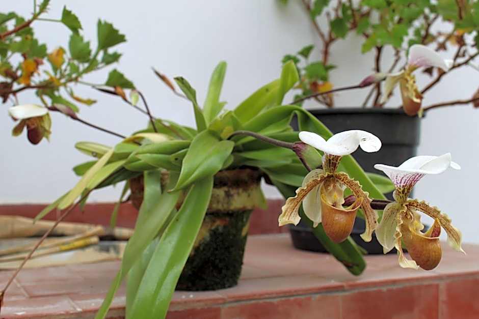 Casa Aconchegante no Capivari