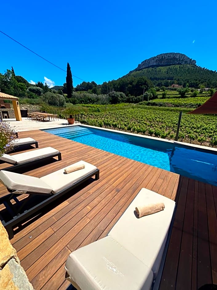 Côté vignes cassis