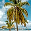 Hotel On The Cay