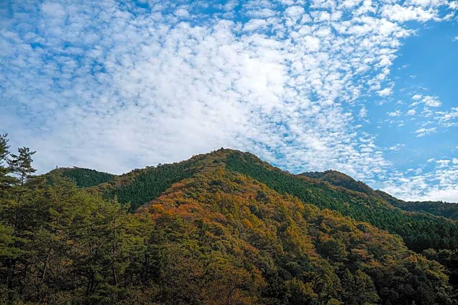 Onsen Glamping ShimaBlue