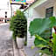 D Heart Homestay