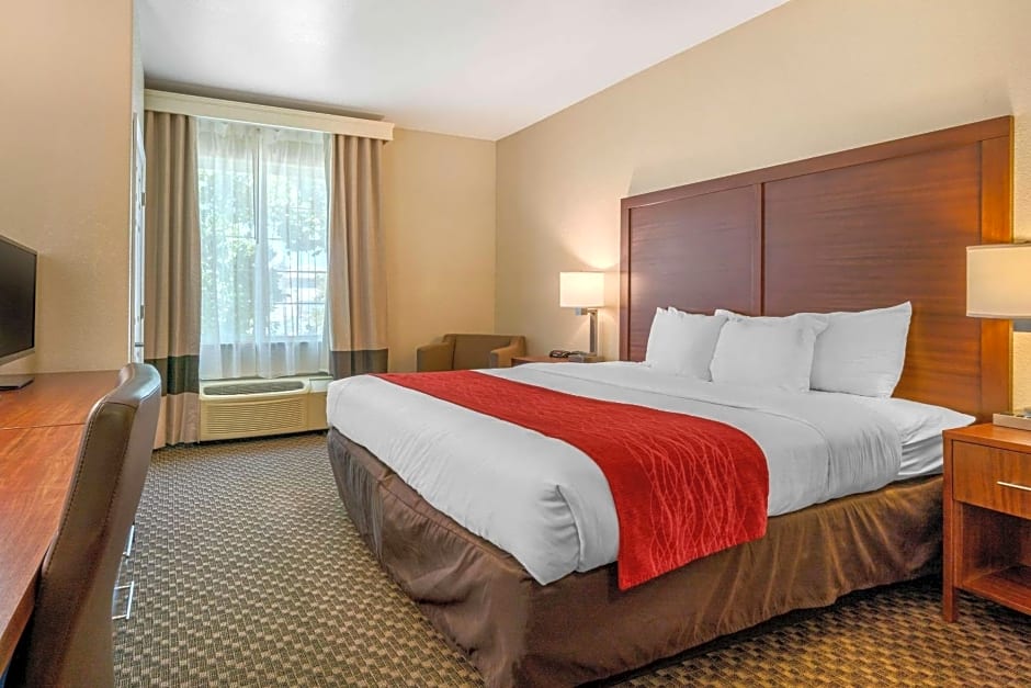 Comfort Inn & Suites Galt – Lodi North