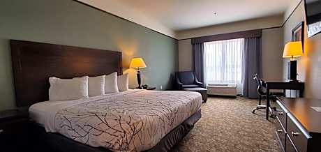 Best Western Plus Emory At Lake Fork Inn & Suites