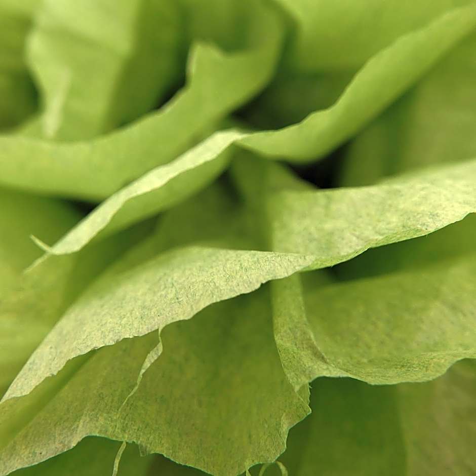 Bowral Road Art Gallery Bed and Breakfast