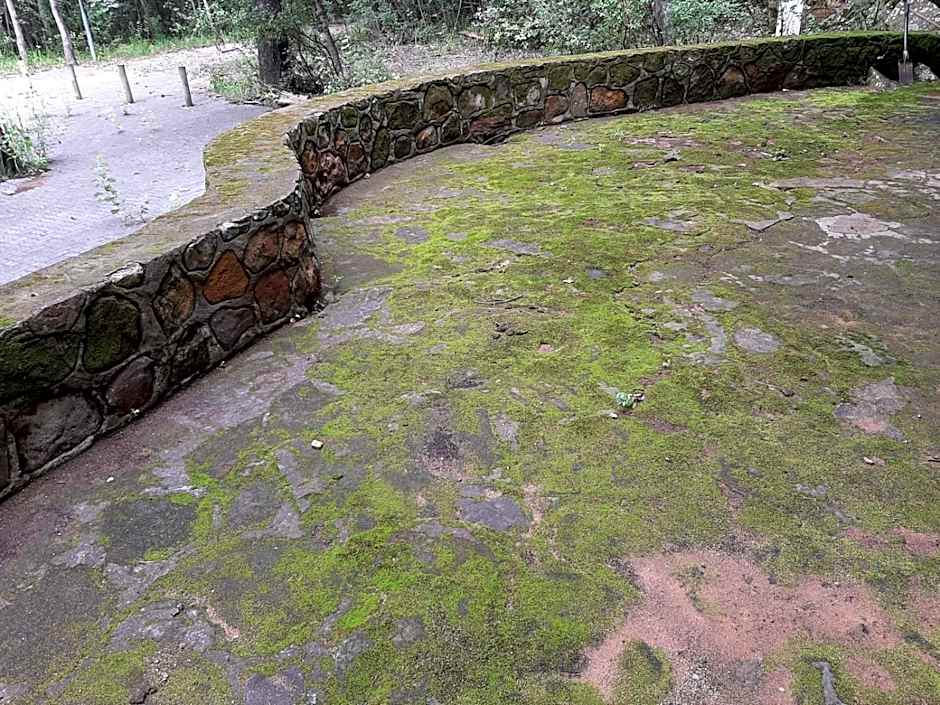 Grey Goose Game Lodge