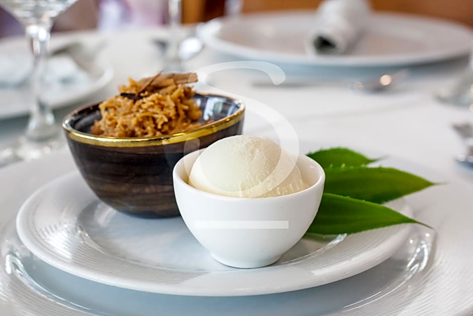 Sol Caribe Sea Flower