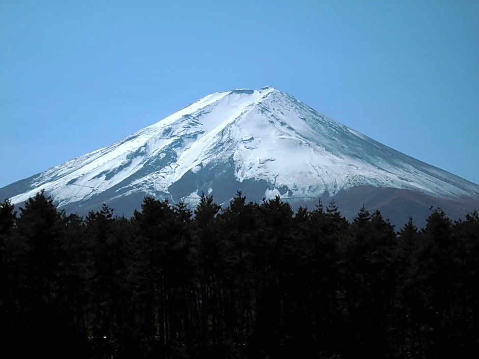 Evergreen Fuji