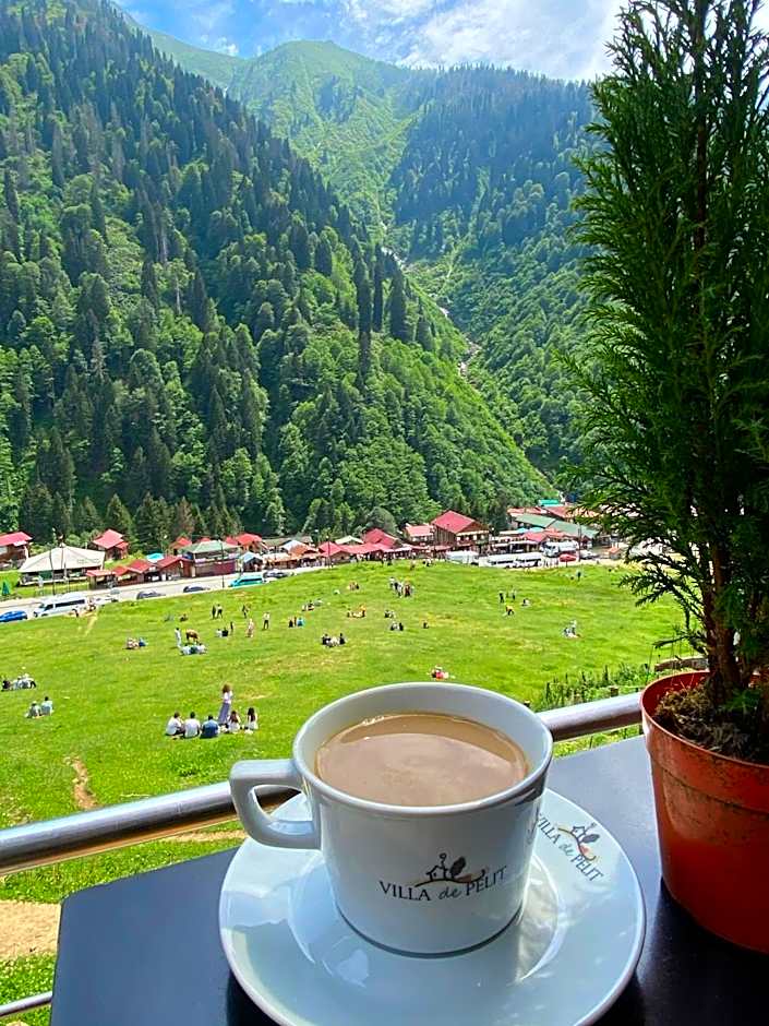 Ayder Villa de Pelit Hotel