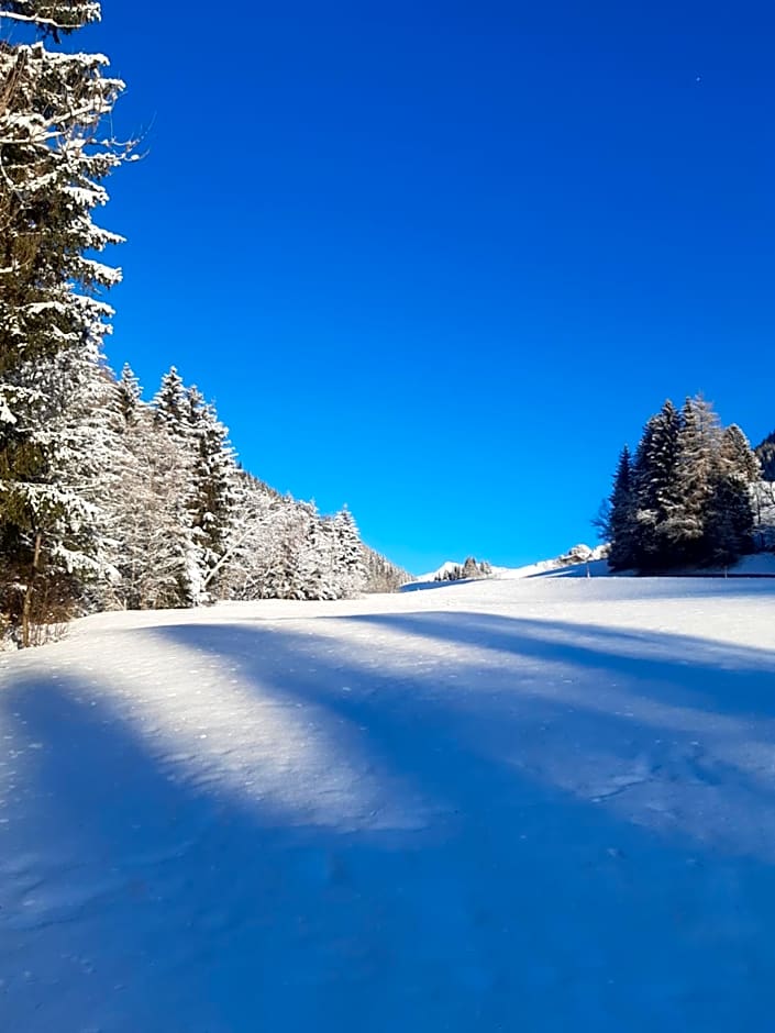 Bed & Breakfast Dolomiti Bey Haus Pinter