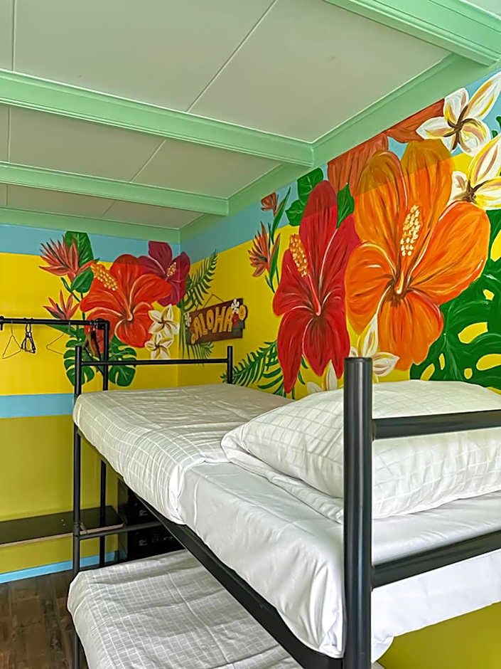 The Flying Pig Beach Hostel Age 18 to 40