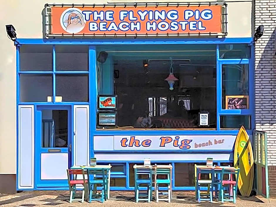 The Flying Pig Beach Hostel Age 18 to 40