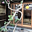 Koto-an Japanese Townhouse