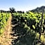 Casale Caterina Agriresort