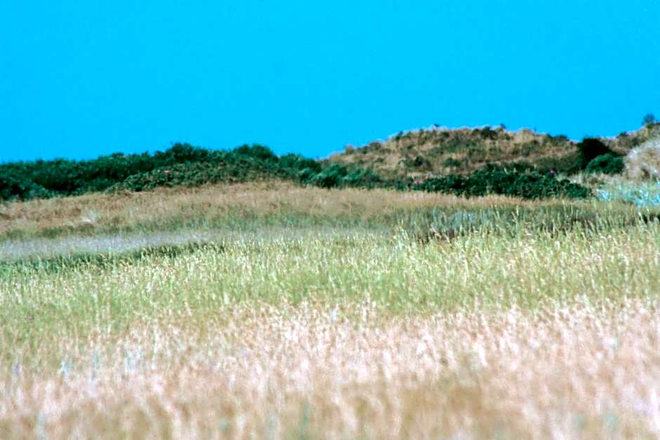 Fletcher Hotel La Ville Blanche