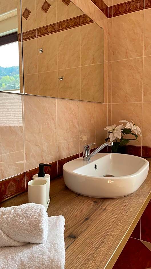 All Seasons Apartments Laško