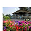 Swiss Holiday Lodge