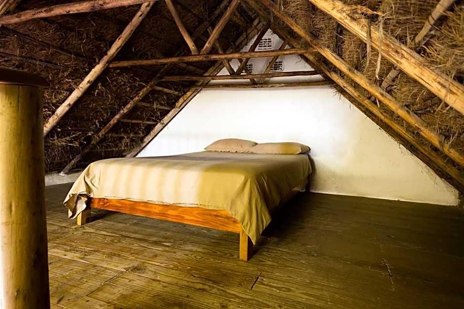 Coffee Shack Adventure Backpackers & Self-Catering