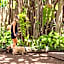 Hotel Casa Colonial Cozumel