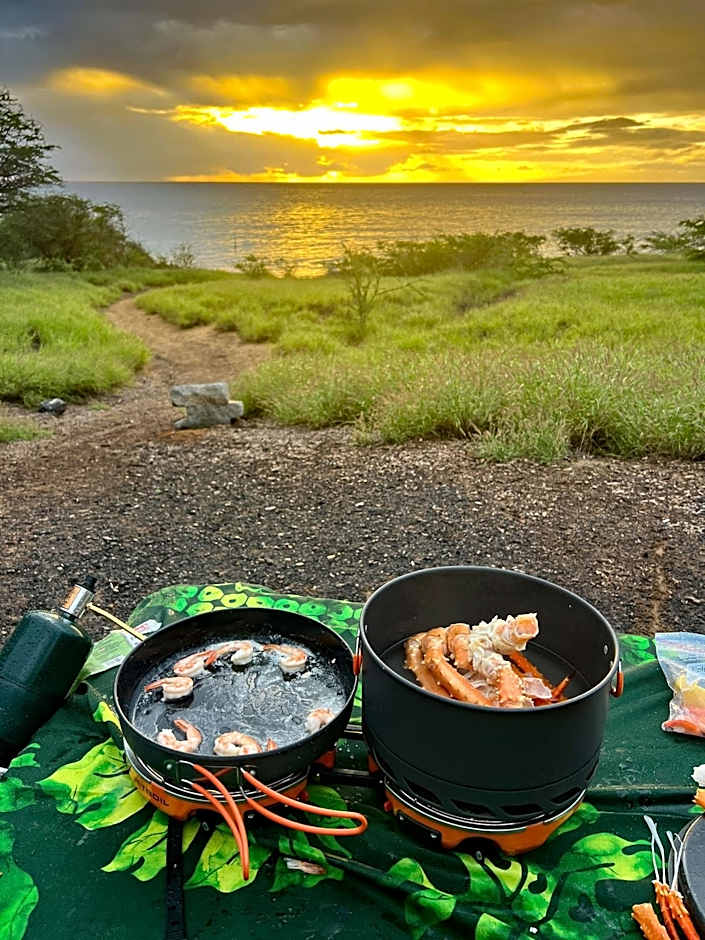 CampCar Maui Jeeps SUVs Hybrid Camper van Rentals with equipment and Travel Advice