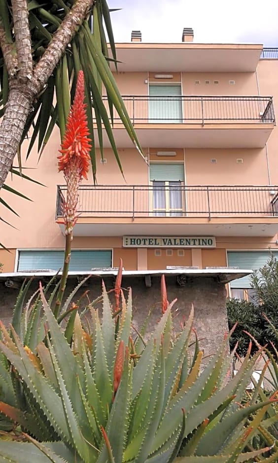 Hotel Valentino