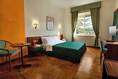 Superior Double or Twin Room with City View
