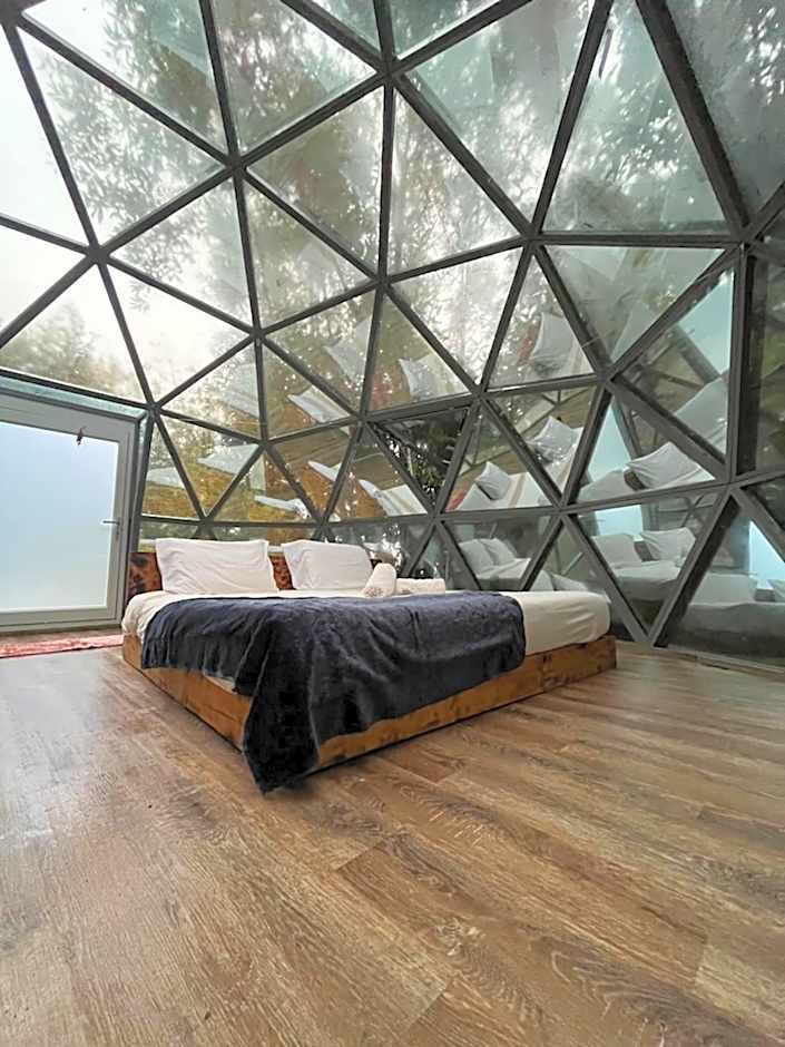 Quinta do Abacate - Glamping Park