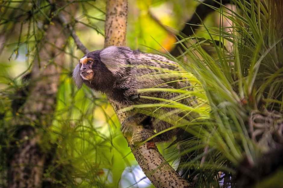 Casa Condominio Piccola Paraty