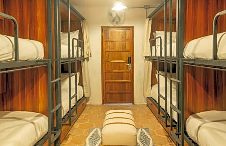 Bed in Large Dorm