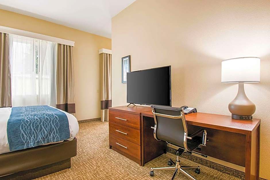 Comfort Inn & Suites Harrisburg - Hershey West