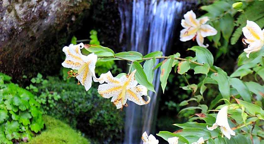 Teiensaryo Yamanakako