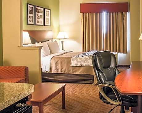 1 King Bed, Suite, Nonsmoking