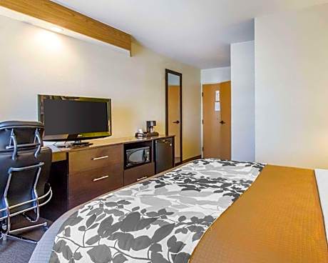 1 Queen Bed, Nonsmoking, Accessible