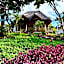 Tropinest bungalows & hostel