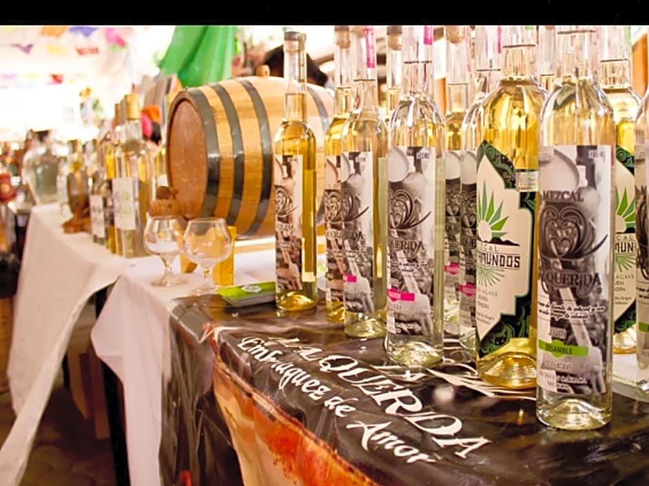 Trotamundo Oaxaca Hostel