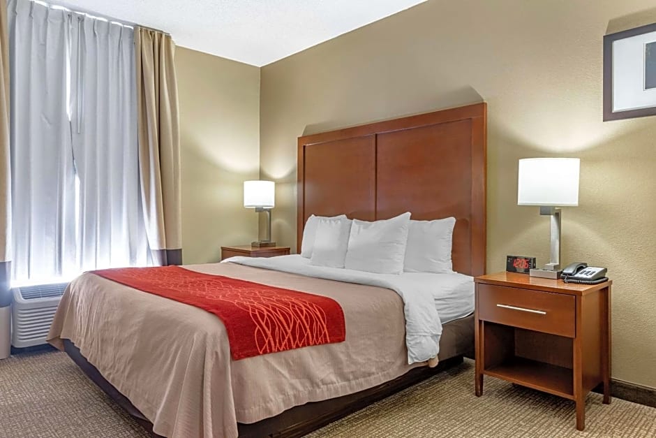 Comfort Inn Blythewood - North Columbia