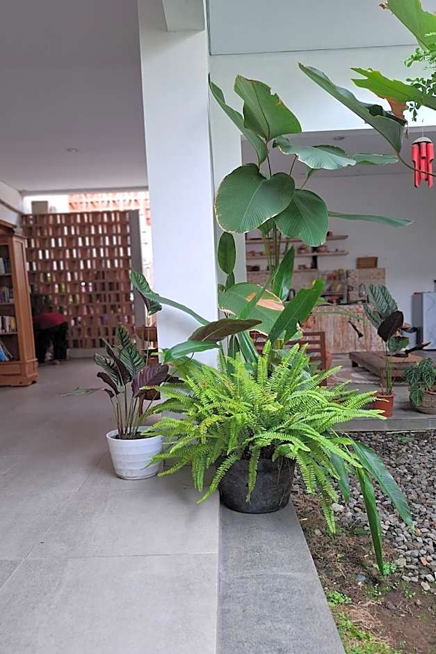 Bring In House Yogyakarta