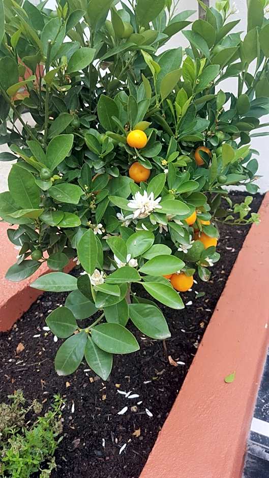 Boutique Hotel Nice Côte d'azur