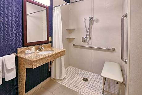 Roll-In Shower, Guest room, 2 Double (Mobility &amp; Hearing Accessible w/ Roll-in Shower)