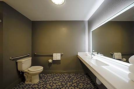 1 Queen Bed Suite Mobil Access Roll Shwr