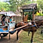 Lucy's Garden Hotel