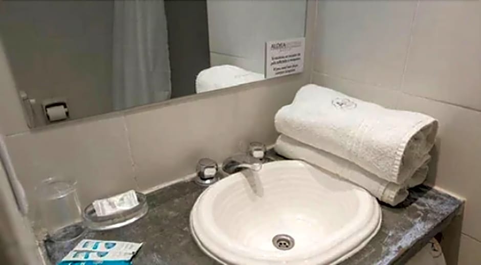 Aldea Andina Hotel&Spa