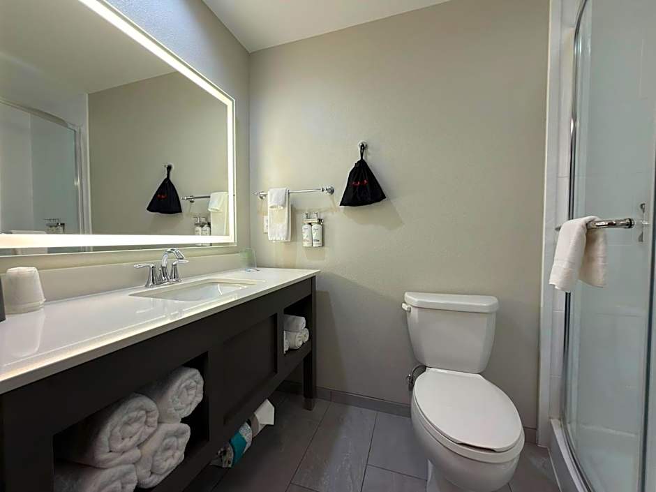 Holiday Inn Midland By IHG